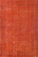 Dyed orange anatolian for sale  Charlotte