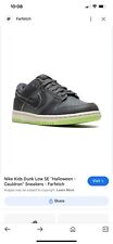 Juniors nike dunk for sale  CRADLEY HEATH