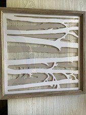 Framed birch trees for sale  Evansville