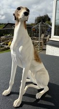 greyhound art for sale greyhound art for sale COCKBURNSPATH