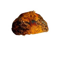 Vintage women feathered for sale  Layton