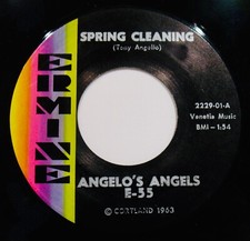Angelo angels spring for sale  Chicago