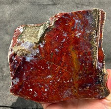 Red lightning moss for sale  Fountain Valley