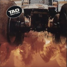 Salt lick tad for sale Salt lick tad for sale  UK