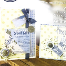 Cool ideas winter for sale  Grovetown