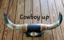 Bull steer horns for sale  Kansas City