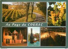 Cognac pays cognac d'occasion  Fruges