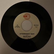 David ray jitterbuggin usato David ray jitterbuggin usato  Spedire a Italy