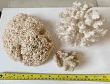 Vintage coral pieces for sale  HARROGATE