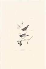 Audubon abbeville edition for sale  Chicago