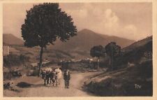 Arreau attelage boeufs d'occasion  Vasles