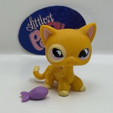 Shorthair cat 855 for sale  Alexandria