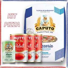 Kit pizza farina usato  Muro Lucano