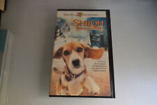 Shiloh amore cucciolo usato  Cagliari