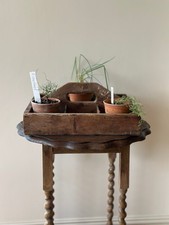 Vintage garden plant for sale  WOODHALL SPA