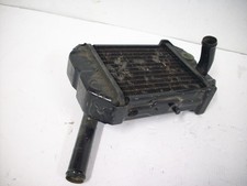 Riginal kühler wasserkühler gebraucht kaufen  Haiger