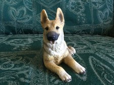 German shepherd gsd for sale  NAIRN