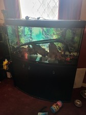Aquarium job lot for sale  STOKE-ON-TRENT