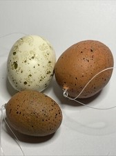 Easter eggs speckled for sale  Fremont