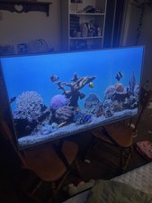 49inch tv for sale  Fruitland