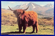 Vintage 1970s scottish for sale  San Francisco