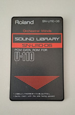 Roland u110 rchestral gebraucht kaufen  Amerang
