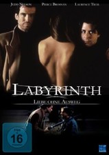 Labyrinth hne ausweg gebraucht kaufen  Berlin