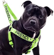 Conjunto de arnês para cães Friendly Green Bull Terrier ou curto padrão extra longo chumbo comprar usado  Enviando para Brazil