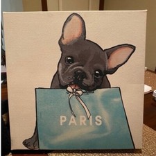 Frenchie french bulldog for sale  West Des Moines