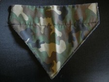 Bandana dog puppy for sale  Washoe Valley