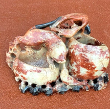 Vintage chinese soap for sale Vintage chinese soap for sale  RICKMANSWORTH