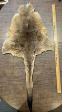 kangaroo leather hides for sale  Nevada