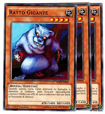 Set carte ratto usato  Venezia