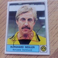 Panini segler bvb gebraucht kaufen  Bad Ems