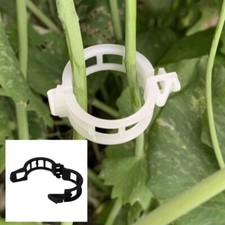 200 pezzi clips usato  Vittoria