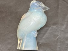 Oiseau pivert verre d'occasion  France