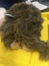 Hosung baby chimp for sale  Marion