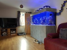 custom aquariums for sale custom aquariums for sale BRACKNELL