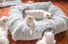Cave shuttled cat for sale  Thornton
