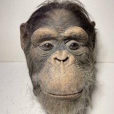 Movie prop chimpanzee d'occasion  Expédié en Belgium