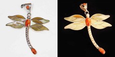 Golden wing dragonfly for sale  Tucson