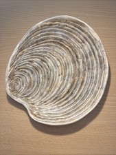 Assiette coquille guillot d'occasion  Andernos-les-Bains