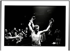 James fox boxe d'occasion  Pagny-sur-Moselle