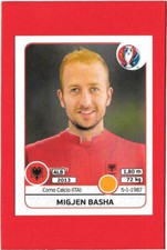Euro 2016 panini usato  Fiorano Modenese