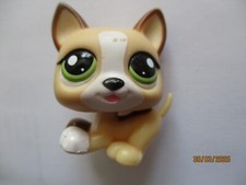 Petshop bebe chien d'occasion  Bailleul