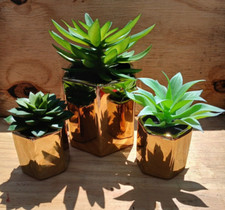 Faux succulent artificial for sale  Whitney
