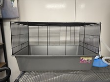Pets home pet for sale  LONDON