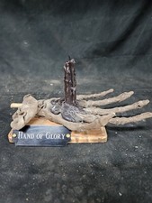 Mummified hand glory for sale  Altoona