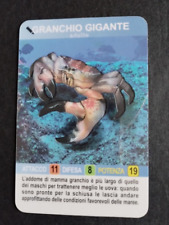 Card animal action usato Card animal action usato  Lercara Friddi