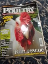 Practical poultry chickens for sale  FALKIRK
